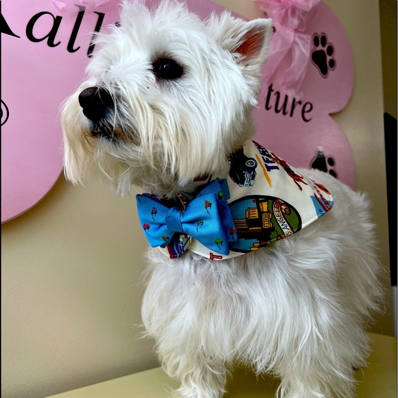 BOWTIE COLLARS - Picture 1 of 6